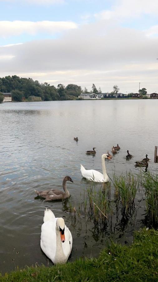 Widgeon Bespoke Cabin Is Lakeside With Private Fishing Peg, Hot Tub Situated At Tattershall Lakes Country Park Eksteriør billede